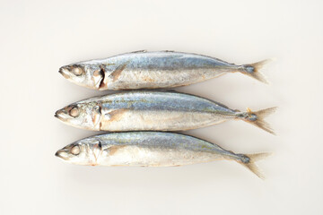 Fish Isolated in White Background With Clear Details Showcasing Texture and Color Variations