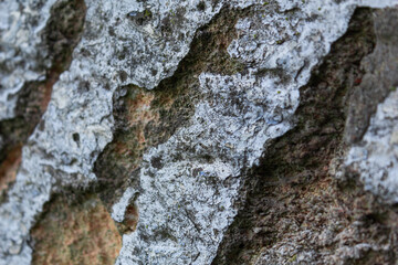 Dirty painted limestone wall close up