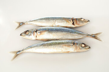 Fresh Fish Isolated in White Background Featuring Three Whole Fish With Glistening Scales