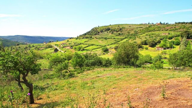 Seulo, Sardinia small mountain village town of longevity blue zone Seulu in Italy by fruit tree orchard and vegetable garden