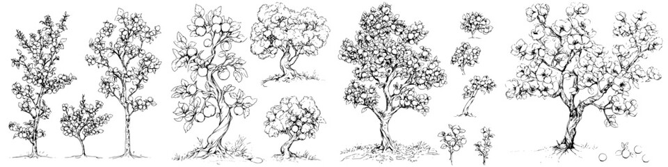Diverse tree sketches depicting various species and styles in a black and white illustration