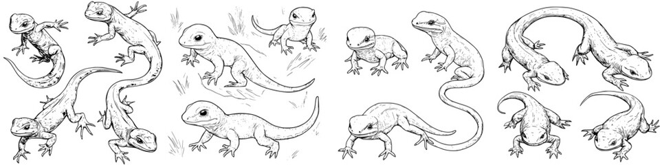 Fototapeta premium Lizards in various poses and orientations captured in a detailed black and white illustration