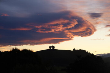 Two Trees Under a Heavy Cloudy Sky – Dramatic Nature Silhouette