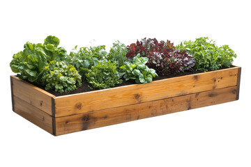 Fresh garden bed filled with a variety of leafy greens in a wooden planter at a vegetable garden during daytime in spring