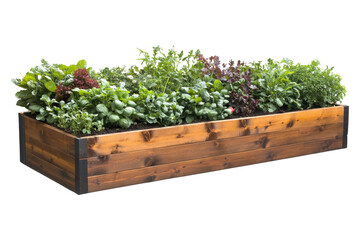 Elegant wooden planter box brimming with vibrant herbs and leafy greens in a sunny garden setting