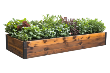 Elegant wooden planter box brimming with vibrant herbs and leafy greens in a sunny garden setting
