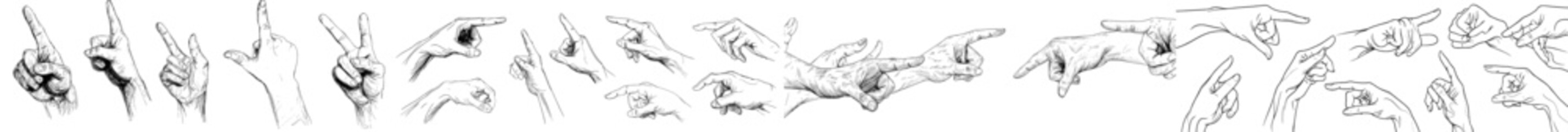 Obraz premium A collection of hands is shown in isolation on a white background, presented as a modern outline illustration featuring a set of fingers