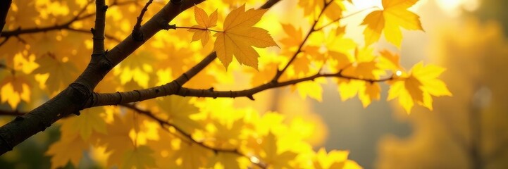 Obraz premium Tree branches with yellowing leaves in the foreground, yellow, scene