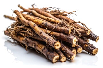 Detailed Image of Fresh Osha Root with Dark Brown Texture