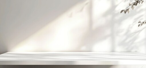 White Studio Background with Sunlight and Leaf Shadows for Product Display