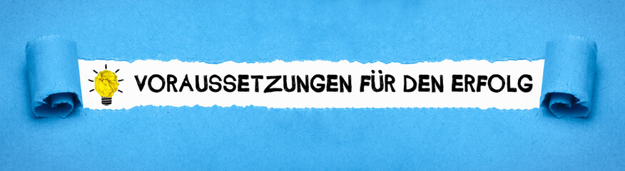 Voraussetzungen für den Erfolg	
