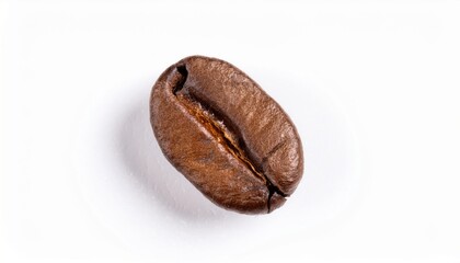 A single glossy coffee bean with rich brown tones