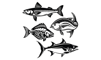 fish vector design