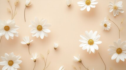 Naklejka premium Delicate Daisies on a Pastel Background