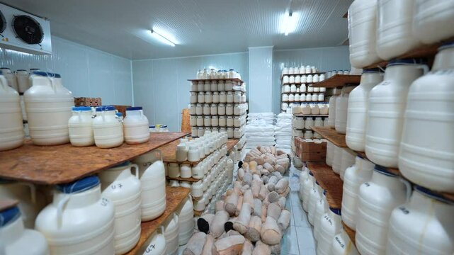The traditional tulum cheese ripening process in cheese tulum increases the flavor and ideal texture in the production of artisanal dairy products. Tulum cheese is obtained by controlled ripening.