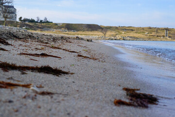 winter landscape in the snow