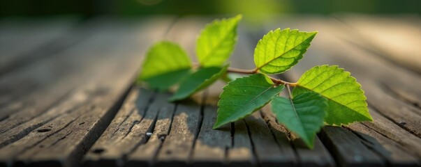 Single isolated branch with intricate details on a wooden surface, closeup, detail, nature