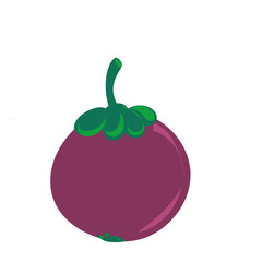 vector illustration of a mangosteen