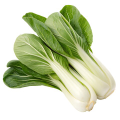 Fresh bok choy isolated on white background