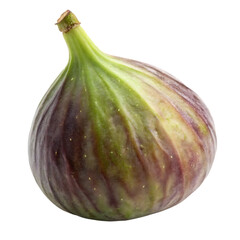 Single fig isolated on white background