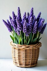 Fototapeta premium Freshly cut stems of purple lavender in a woven basket, background, fresh