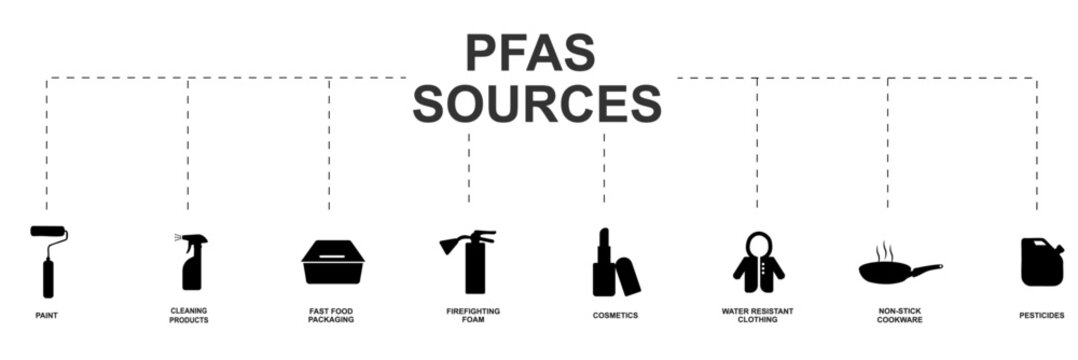 PFAS Sources Infographic: Common Household Chemical Exposure. infographic displaying common sources of PFAS chemicals in everyday products. PFAS sources on transparent background. Vector illustration