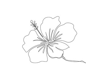 Continuous one line drawing of a piece hibiscus flower. Rose mallow  in single line draw illustration. Editable stroke.