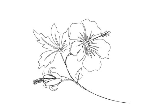 Continuous one line drawing of a piece hibiscus flower. Rose mallow  in single line draw illustration. Editable stroke.