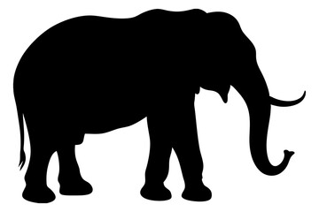 Obraz premium Black Silhouette of an Elephant - Vector Illustration for Logos, Stickers, and Designs