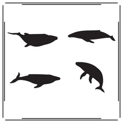 Whale silhouette, Whale illustration ,Whale clipart, Whale vector , Whale icon , black Whale, Whale illustration on white background, Whale silhouette illustration,						