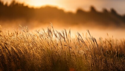 sunset in the mountains