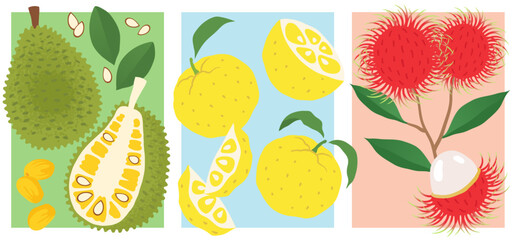 Exotic Fruit Collection - Jackfruit, Yuzu, Rambutan