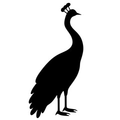 peacock silhouette Vector. animal vector 