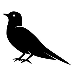 bird silhouette vector. animal vector