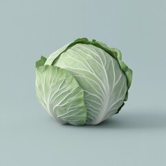 Fototapeta premium Fresh head of cabbage