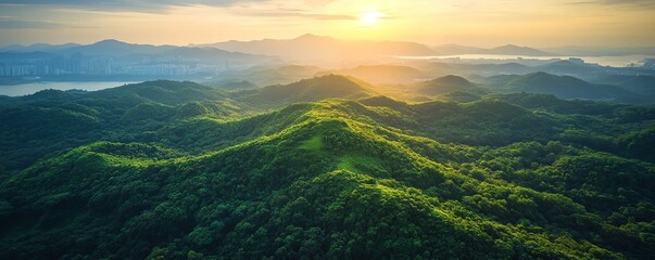 Exhilarating emerald hill covered with dense green foliage, offering a magnificent view from the summit, with expansive vistas stretching out beneath a clear sky