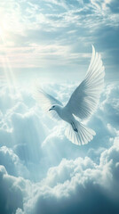Peaceful white dove soaring across sunlit cloudy sky, symbolizing spiritual freedom and tranquil hope