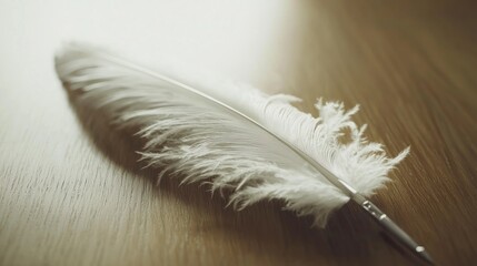 Elegant white feather quill on light wood table, vintage aesthetic