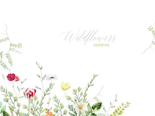 Wildflowers and plants vector design frame. Hand painted meadow branches, flowers, leaves on white background. Greenery wedding invitation. Watercolor style card. Elements are isolated and editable