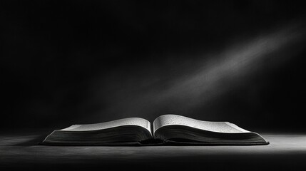 A minimal outline of an open Quran, with subtle rays of light emerging from the pages.