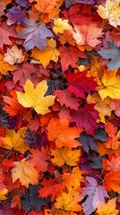 Fototapeta premium Autumn Leaves Ground Cover.
