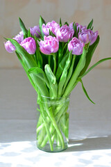 Bouquet of pink tulips in a cylinder glass vase full of hydrogel on white background horizontal. High quality photo