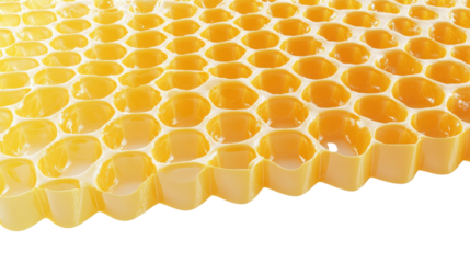 honeycomb isolated on white background