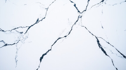 Elegant black marble veins on white surface - natural stone texture