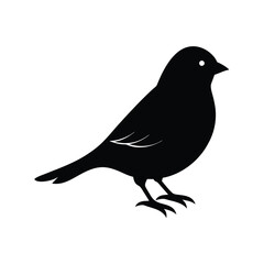 Obraz premium Canary Silhouette Vector Art | Black and White Canary Bird Illustration