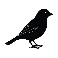Canary Silhouette Vector Art | Black and White Canary Bird Illustration