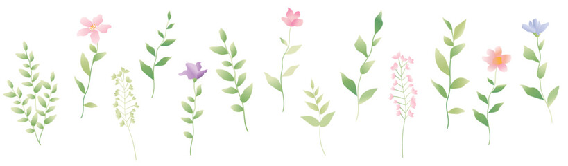 green grass with flowers