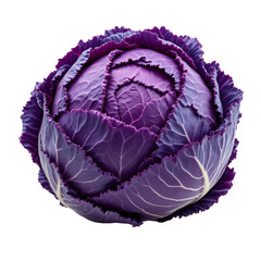 Obraz premium A close-up, high-quality image of a whole head of vibrant purple cabbage