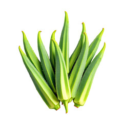 Fototapeta premium Close-up image of a bunch of fresh okra pods