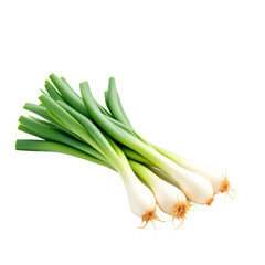 Obraz premium A bunch of vibrant green onions is showcased against a transparent background
